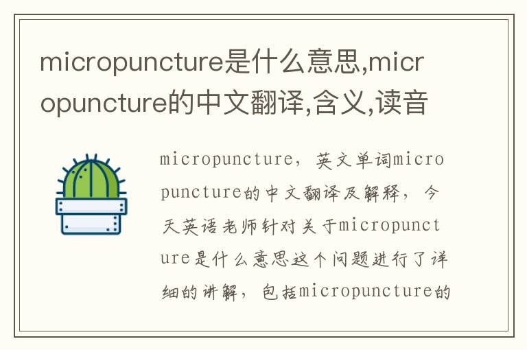 micropuncture是什么意思,micropuncture的中文翻译,含义,读音发音,用法,造句,参考例句