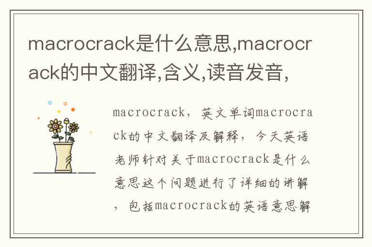 macrocrack是什么意思,macrocrack的中文翻译,含义,读音发音,用法,造句,参考例句