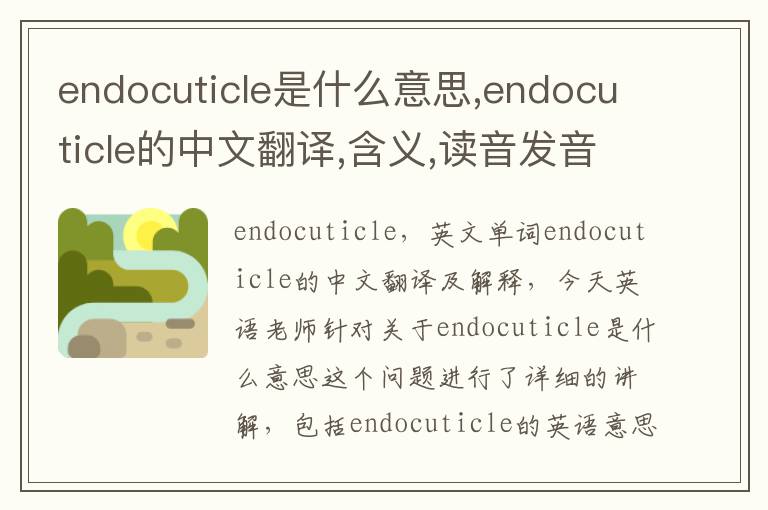 endocuticle是什么意思,endocuticle的中文翻译,含义,读音发音,用法,造句,参考例句