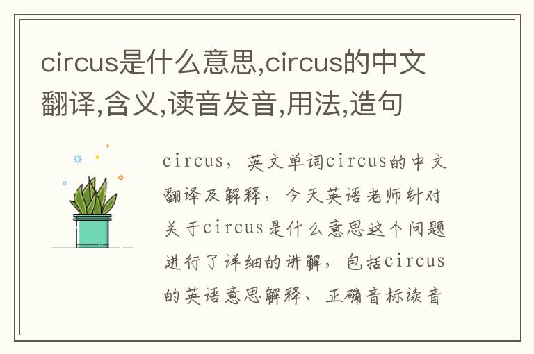 circus是什么意思,circus的中文翻译,含义,读音发音,用法,造句,参考例句