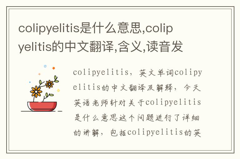 colipyelitis是什么意思,colipyelitis的中文翻译,含义,读音发音,用法,造句,参考例句