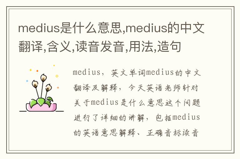 medius是什么意思,medius的中文翻译,含义,读音发音,用法,造句,参考例句