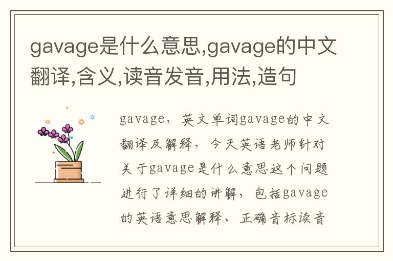 gavage是什么意思,gavage的中文翻译,含义,读音发音,用法,造句,参考例句