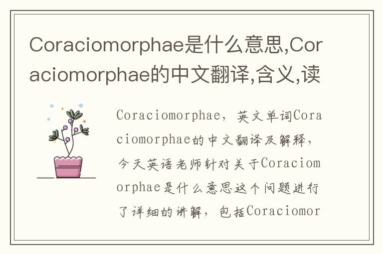 Coraciomorphae是什么意思,Coraciomorphae的中文翻译,含义,读音发音,用法,造句,参考例句