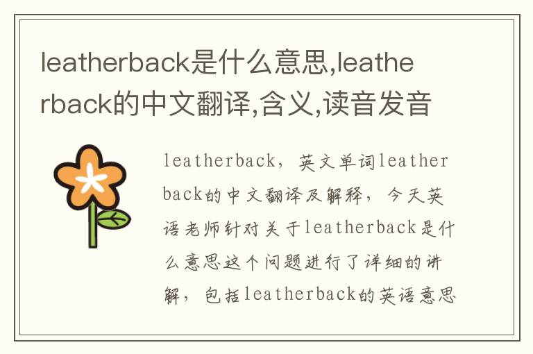 leatherback是什么意思,leatherback的中文翻译,含义,读音发音,用法,造句,参考例句