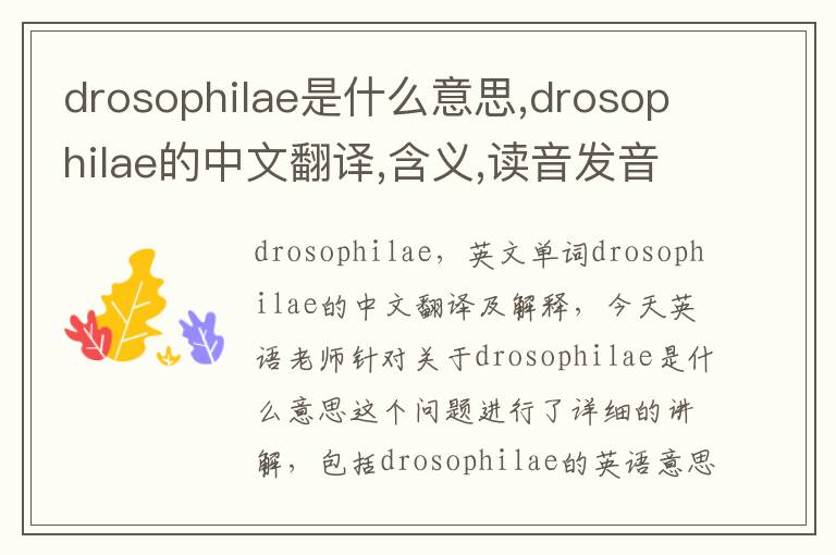 drosophilae是什么意思,drosophilae的中文翻译,含义,读音发音,用法,造句,参考例句