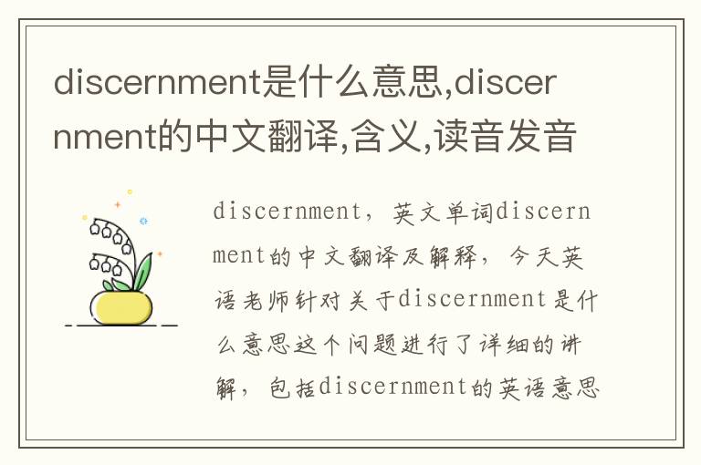 discernment是什么意思,discernment的中文翻译,含义,读音发音,用法,造句,参考例句