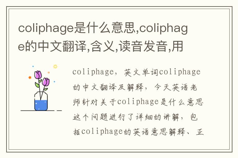 coliphage是什么意思,coliphage的中文翻译,含义,读音发音,用法,造句,参考例句