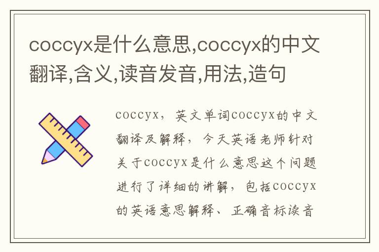 coccyx是什么意思,coccyx的中文翻译,含义,读音发音,用法,造句,参考例句