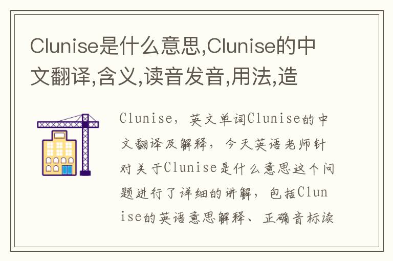 Clunise是什么意思,Clunise的中文翻译,含义,读音发音,用法,造句,参考例句