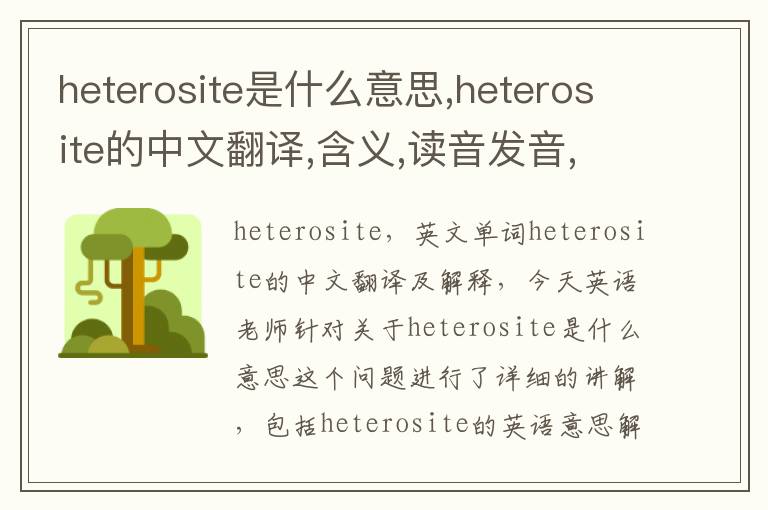 heterosite是什么意思,heterosite的中文翻译,含义,读音发音,用法,造句,参考例句