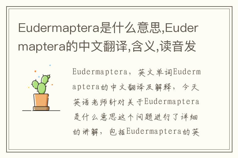 Eudermaptera是什么意思,Eudermaptera的中文翻译,含义,读音发音,用法,造句,参考例句