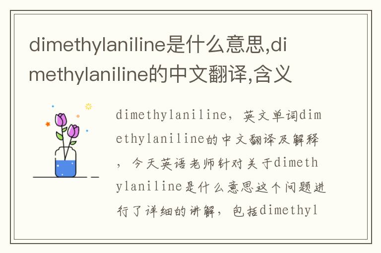 dimethylaniline是什么意思,dimethylaniline的中文翻译,含义,读音发音,用法,造句,参考例句