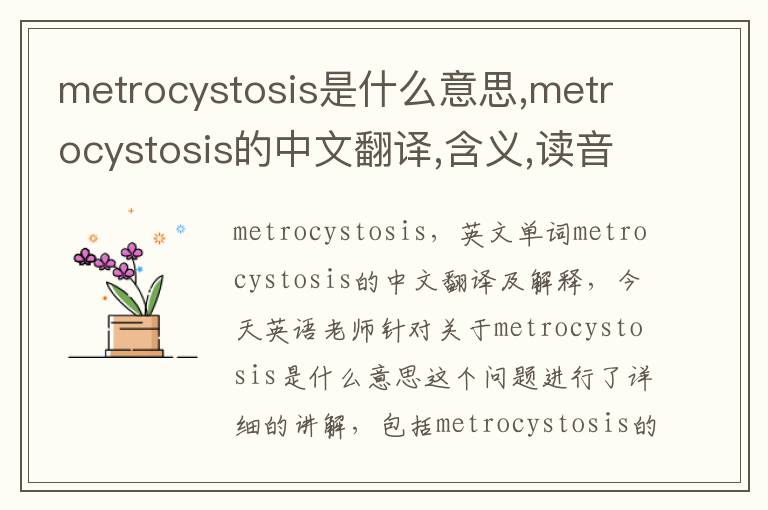 metrocystosis是什么意思,metrocystosis的中文翻译,含义,读音发音,用法,造句,参考例句