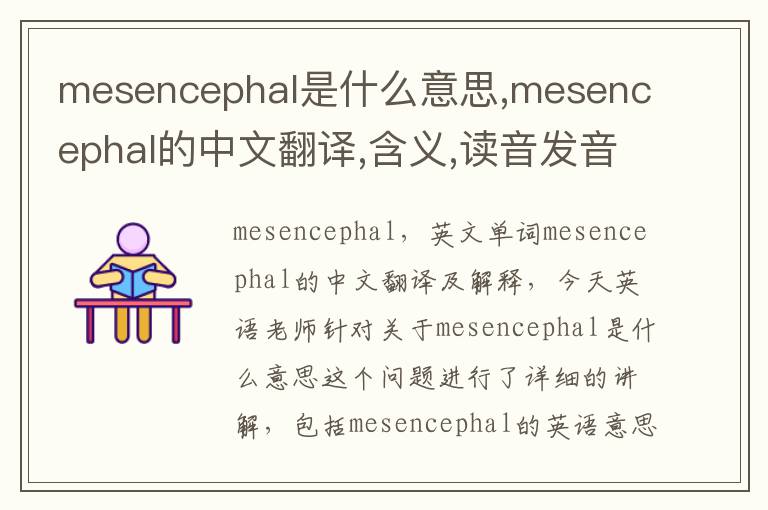 mesencephal是什么意思,mesencephal的中文翻译,含义,读音发音,用法,造句,参考例句