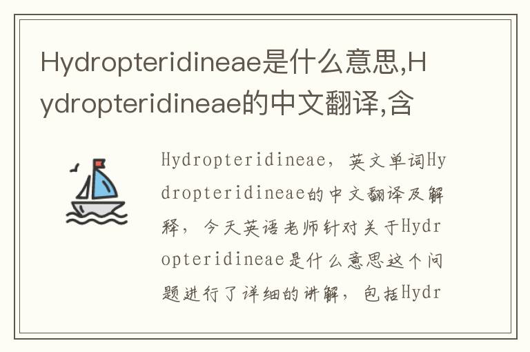 Hydropteridineae是什么意思,Hydropteridineae的中文翻译,含义,读音发音,用法,造句,参考例句