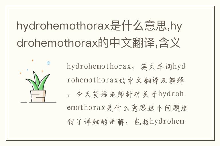 hydrohemothorax是什么意思,hydrohemothorax的中文翻译,含义,读音发音,用法,造句,参考例句