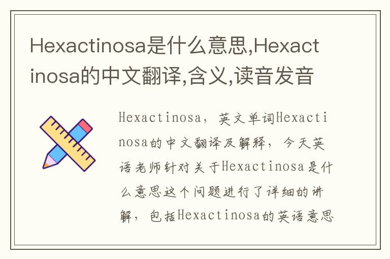 Hexactinosa是什么意思,Hexactinosa的中文翻译,含义,读音发音,用法,造句,参考例句