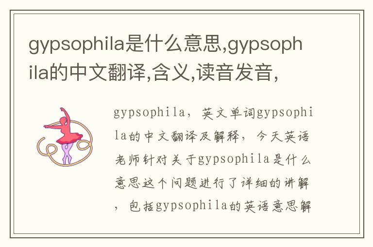 gypsophila是什么意思,gypsophila的中文翻译,含义,读音发音,用法,造句,参考例句