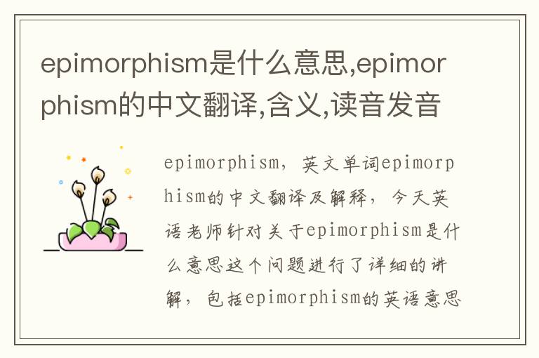 epimorphism是什么意思,epimorphism的中文翻译,含义,读音发音,用法,造句,参考例句