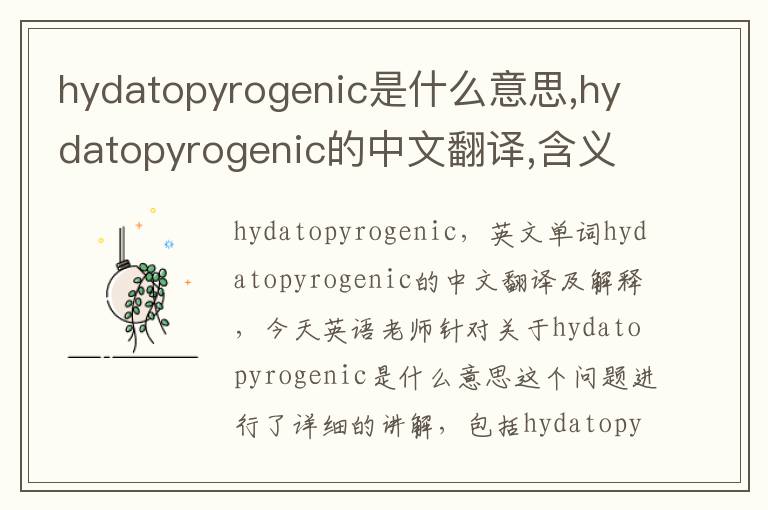 hydatopyrogenic是什么意思,hydatopyrogenic的中文翻译,含义,读音发音,用法,造句,参考例句