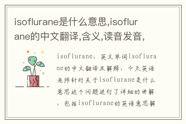 isoflurane是什么意思,isoflurane的中文翻译,含义,读音发音,用法,造句,参考例句