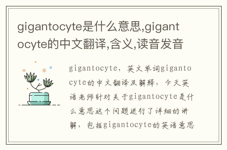 gigantocyte是什么意思,gigantocyte的中文翻译,含义,读音发音,用法,造句,参考例句