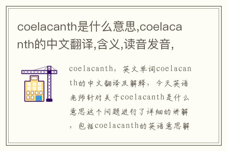 coelacanth是什么意思,coelacanth的中文翻译,含义,读音发音,用法,造句,参考例句