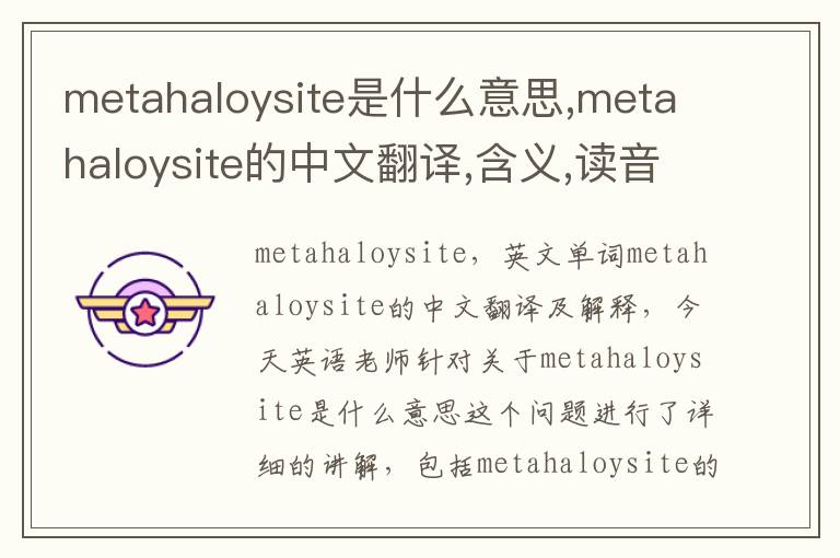 metahaloysite是什么意思,metahaloysite的中文翻译,含义,读音发音,用法,造句,参考例句