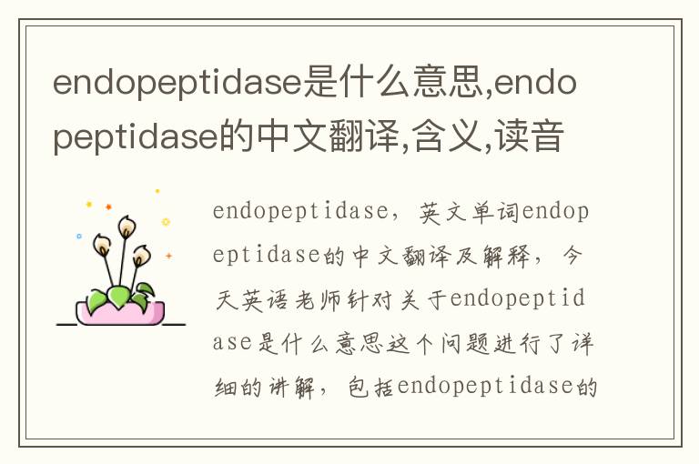 endopeptidase是什么意思,endopeptidase的中文翻译,含义,读音发音,用法,造句,参考例句