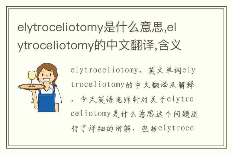 elytroceliotomy是什么意思,elytroceliotomy的中文翻译,含义,读音发音,用法,造句,参考例句