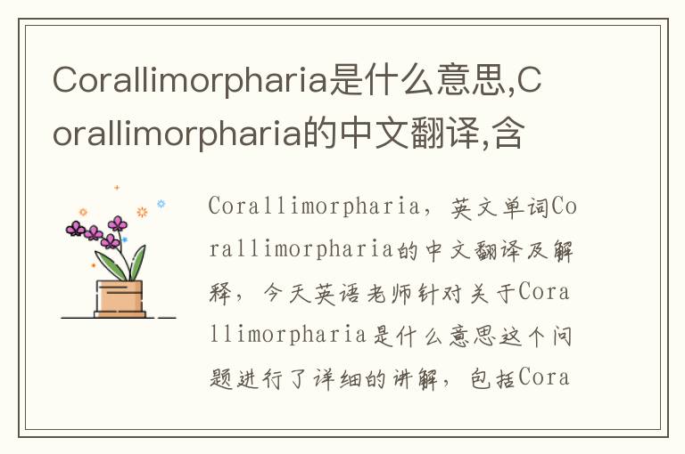 Corallimorpharia是什么意思,Corallimorpharia的中文翻译,含义,读音发音,用法,造句,参考例句