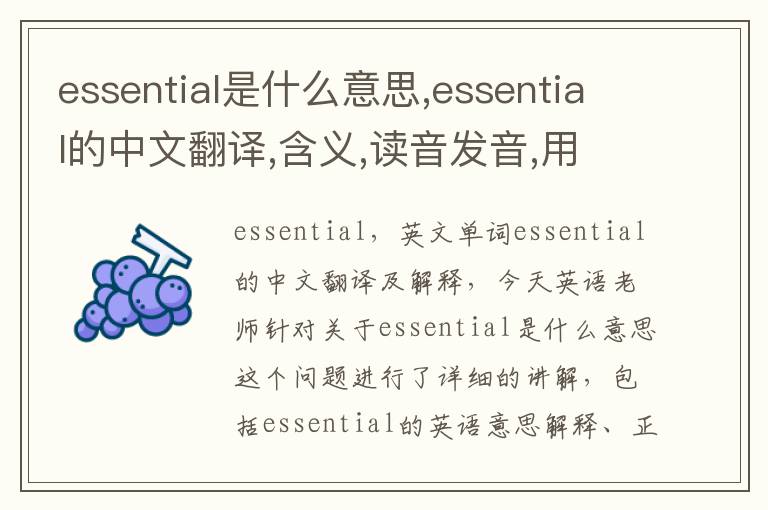 essential是什么意思,essential的中文翻译,含义,读音发音,用法,造句,参考例句