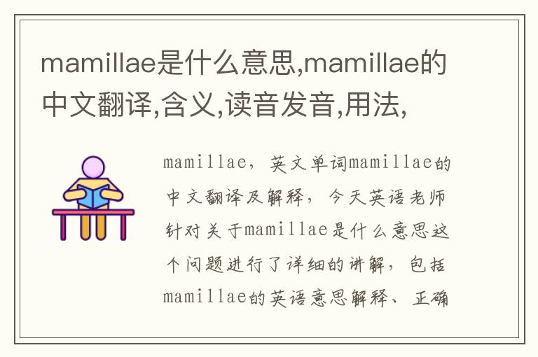 mamillae是什么意思,mamillae的中文翻译,含义,读音发音,用法,造句,参考例句