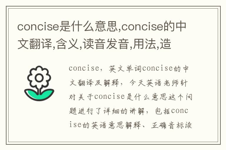 concise是什么意思,concise的中文翻译,含义,读音发音,用法,造句,参考例句