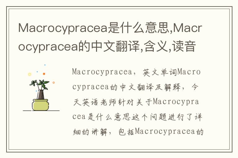 Macrocypracea是什么意思,Macrocypracea的中文翻译,含义,读音发音,用法,造句,参考例句