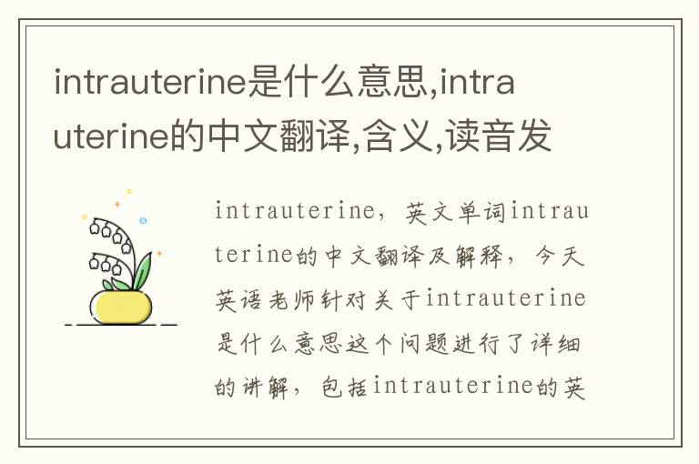 intrauterine是什么意思,intrauterine的中文翻译,含义,读音发音,用法,造句,参考例句