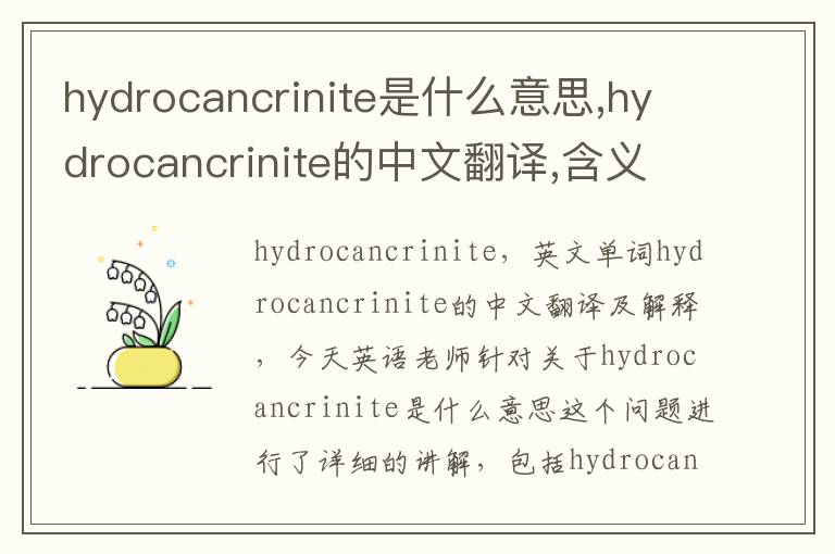 hydrocancrinite是什么意思,hydrocancrinite的中文翻译,含义,读音发音,用法,造句,参考例句