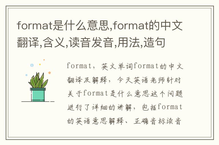 format是什么意思,format的中文翻译,含义,读音发音,用法,造句,参考例句