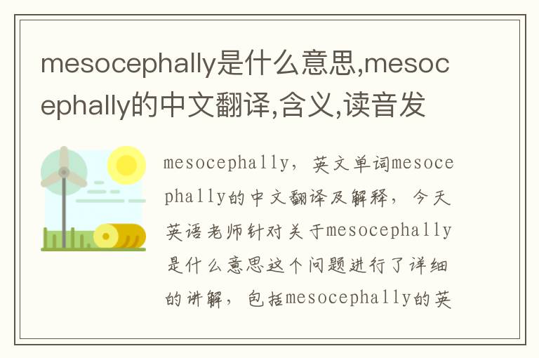 mesocephally是什么意思,mesocephally的中文翻译,含义,读音发音,用法,造句,参考例句