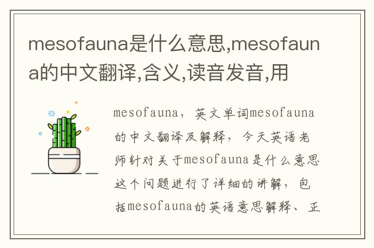 mesofauna是什么意思,mesofauna的中文翻译,含义,读音发音,用法,造句,参考例句