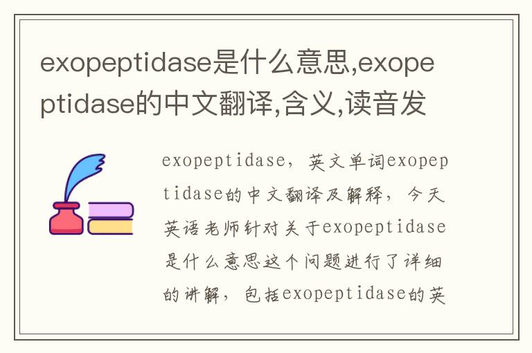 exopeptidase是什么意思,exopeptidase的中文翻译,含义,读音发音,用法,造句,参考例句