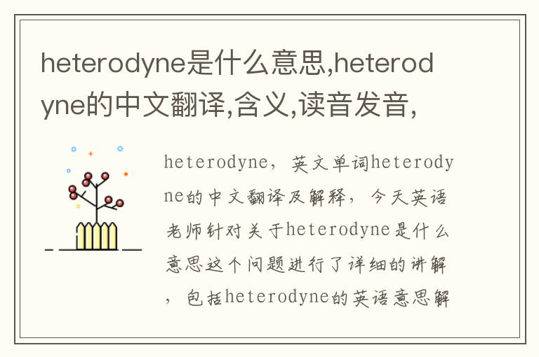 heterodyne是什么意思,heterodyne的中文翻译,含义,读音发音,用法,造句,参考例句