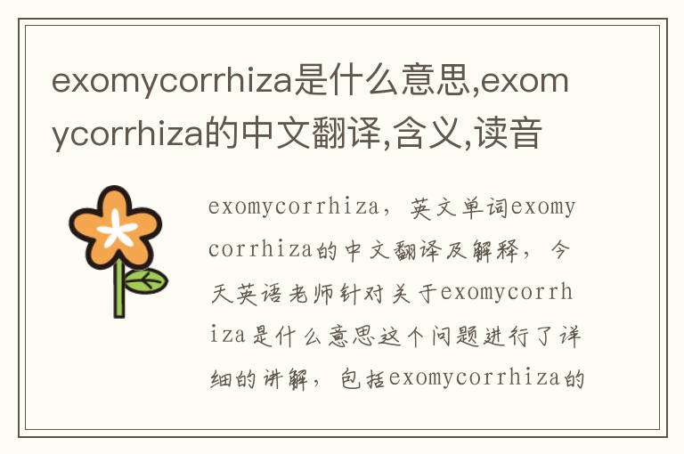 exomycorrhiza是什么意思,exomycorrhiza的中文翻译,含义,读音发音,用法,造句,参考例句