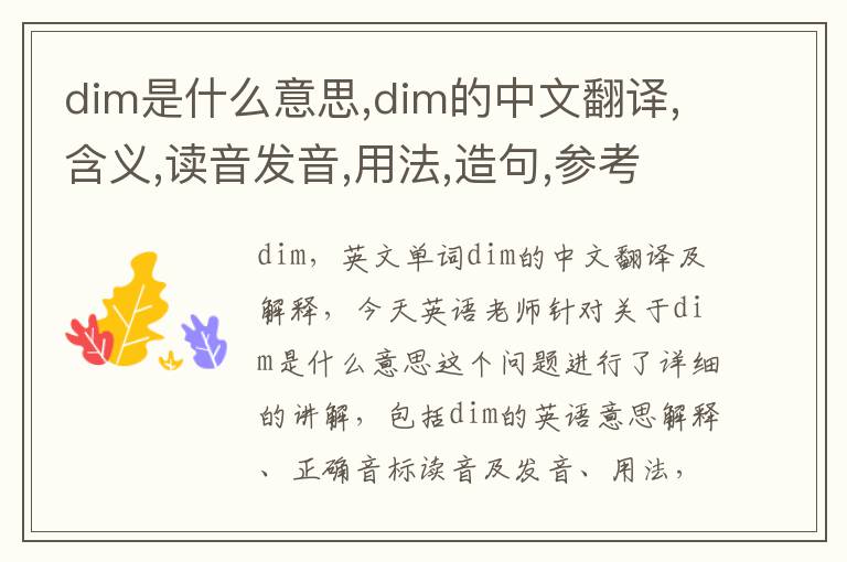 dim是什么意思,dim的中文翻译,含义,读音发音,用法,造句,参考例句