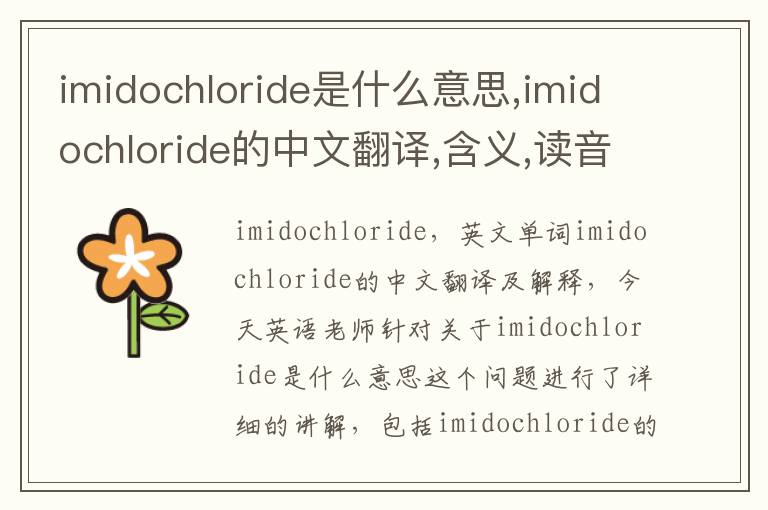 imidochloride是什么意思,imidochloride的中文翻译,含义,读音发音,用法,造句,参考例句