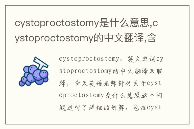 cystoproctostomy是什么意思,cystoproctostomy的中文翻译,含义,读音发音,用法,造句,参考例句