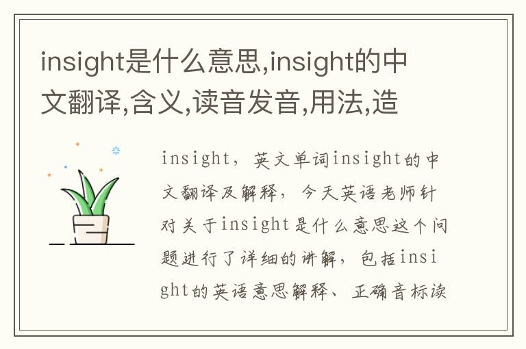 insight是什么意思,insight的中文翻译,含义,读音发音,用法,造句,参考例句