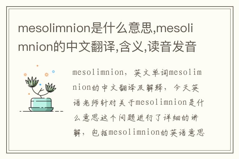 mesolimnion是什么意思,mesolimnion的中文翻译,含义,读音发音,用法,造句,参考例句