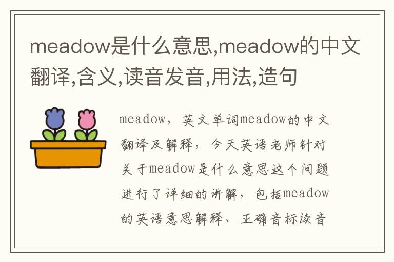 meadow是什么意思,meadow的中文翻译,含义,读音发音,用法,造句,参考例句